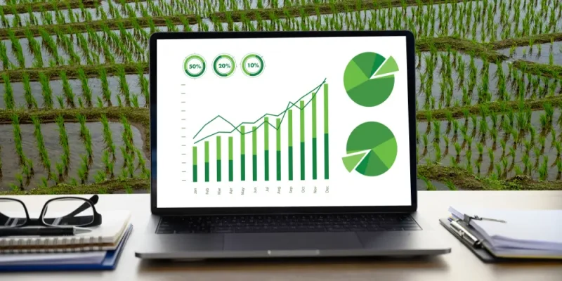 Conversion Rate Optimization - Omatic Growth